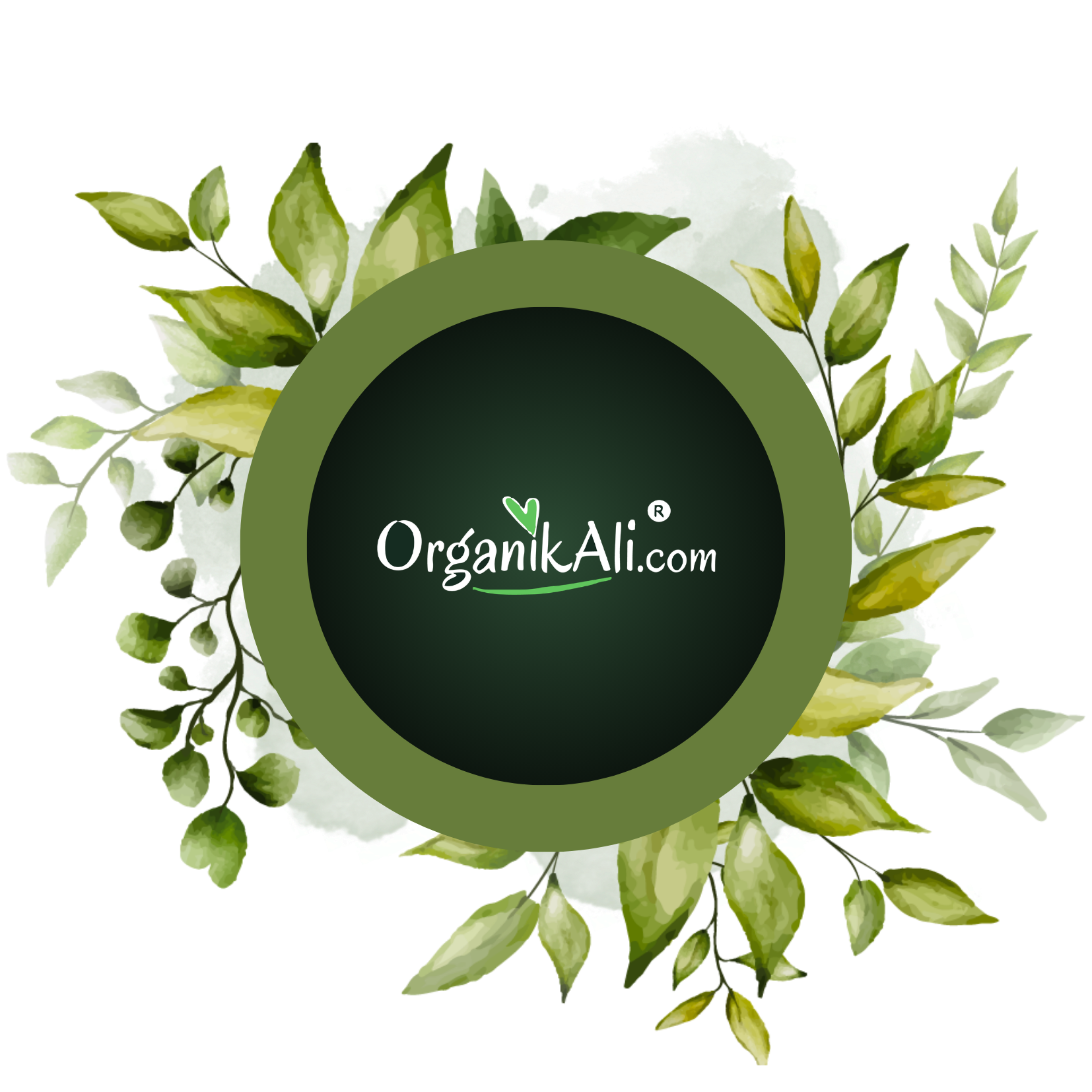 OrganikAli ile Kazançlı Çıkın